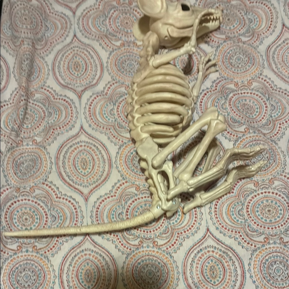 Cream Skeleton Mouse Halloween Decor